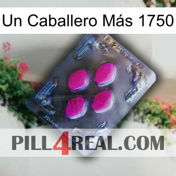 Un Caballero Más 1750 02.jpg